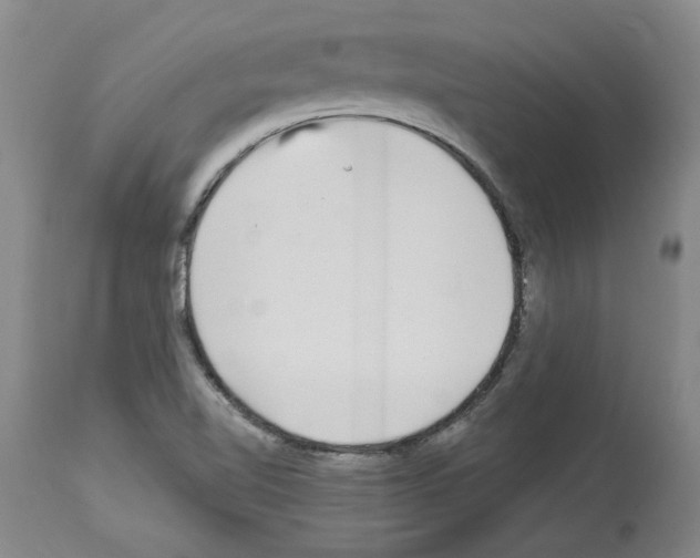 X0000113961510200911061314