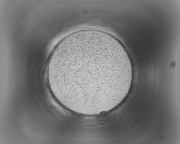 X0000113961511200911061314