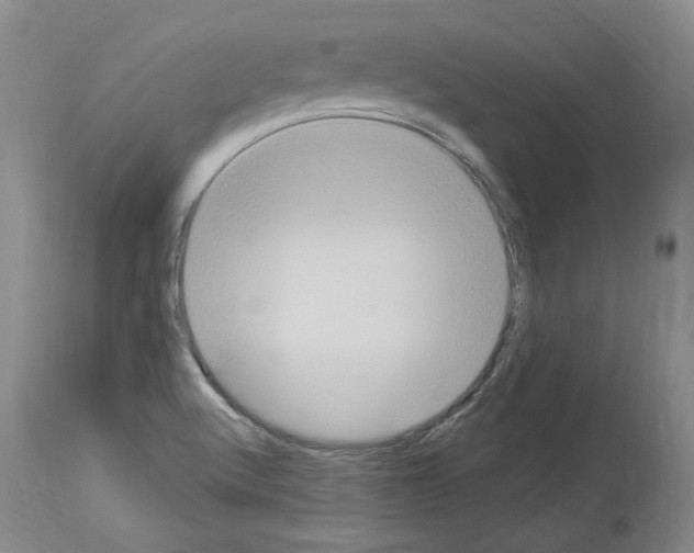 X0000113961512200911061314