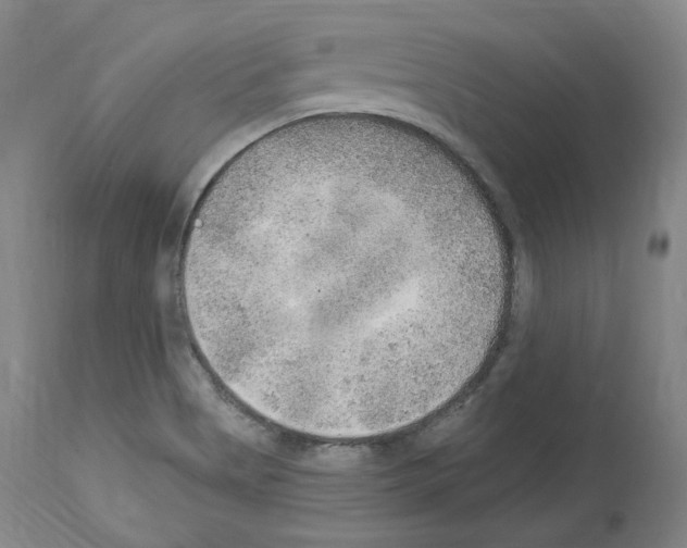 X0000113961513200911061314