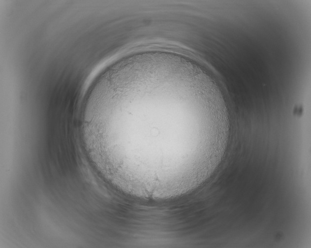 X0000113961514200911061314