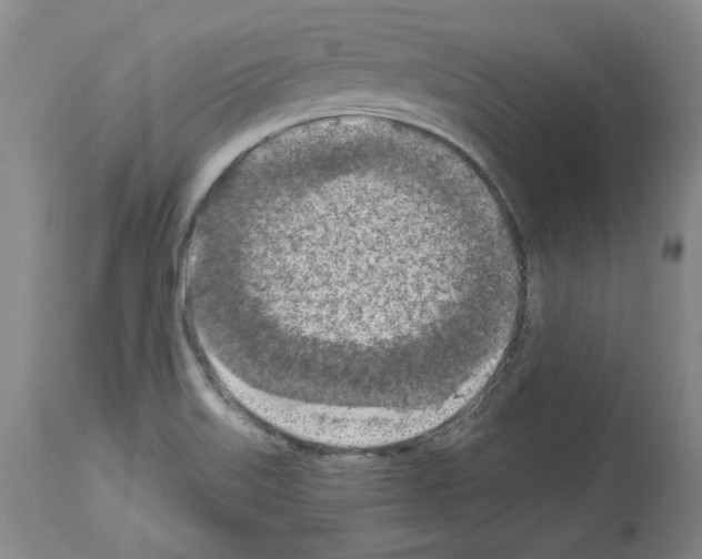 X0000113961515200911061314