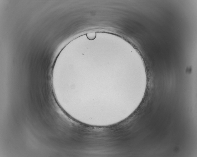 X0000113961516200911061314