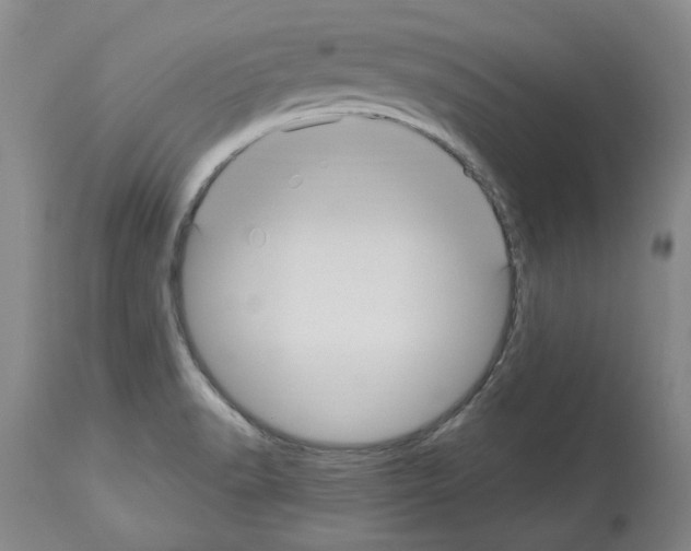 X0000113961518200911061314
