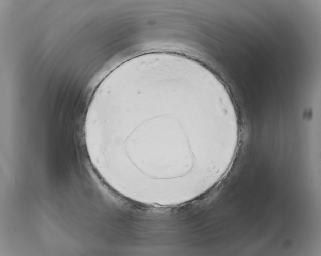X0000113961521200911061314