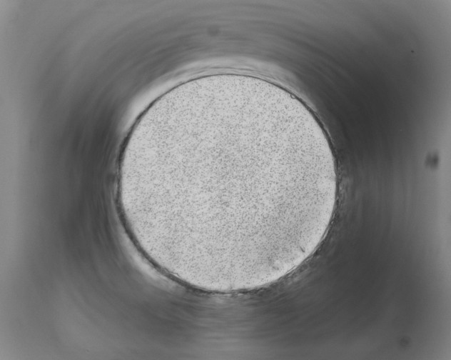 X0000113961523200911061314