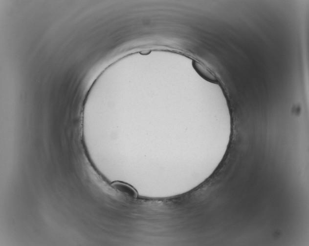 X0000113961524200911061314