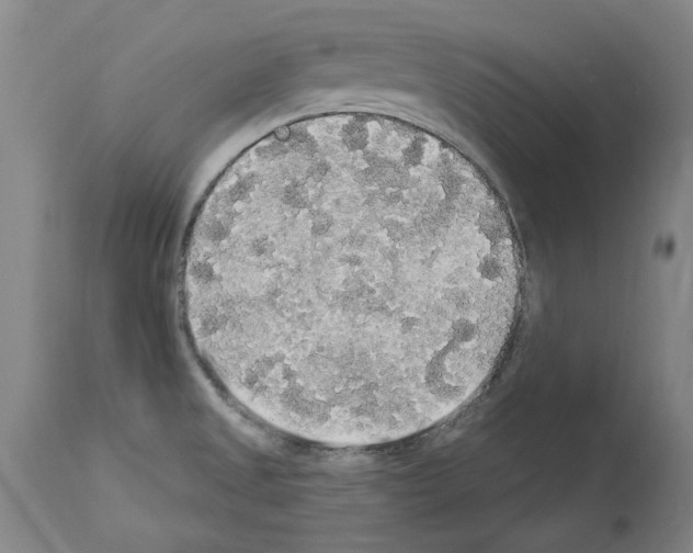 X0000113961525200911061314