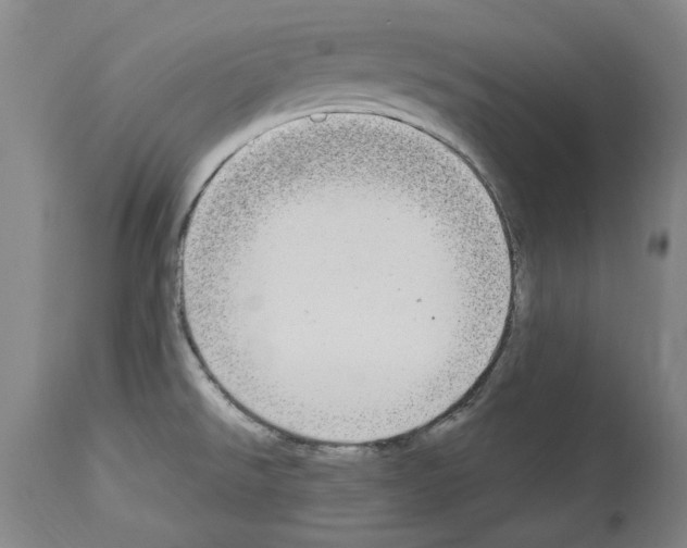 X0000113961526200911061314