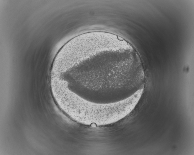 X0000113961527200911061314