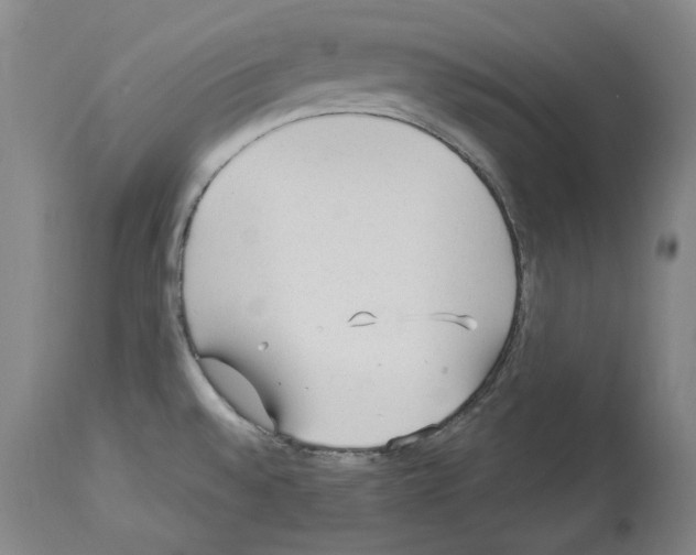 X0000113961528200911061314