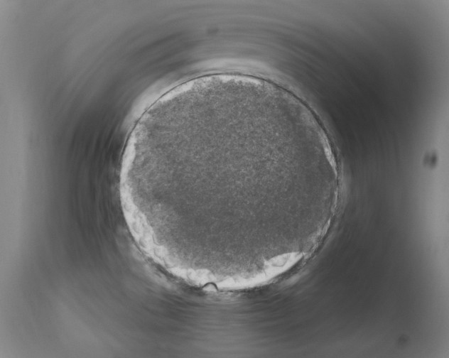 X0000113961529200911061314