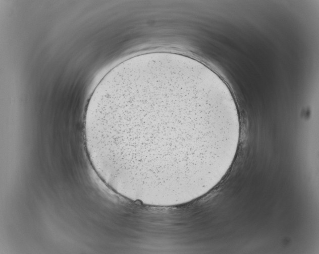 X0000113961532200911061314