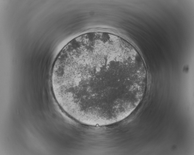X0000113961533200911061314