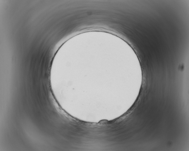 X0000113961534200911061314