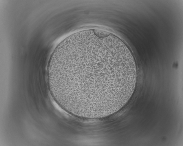 X0000113961535200911061314
