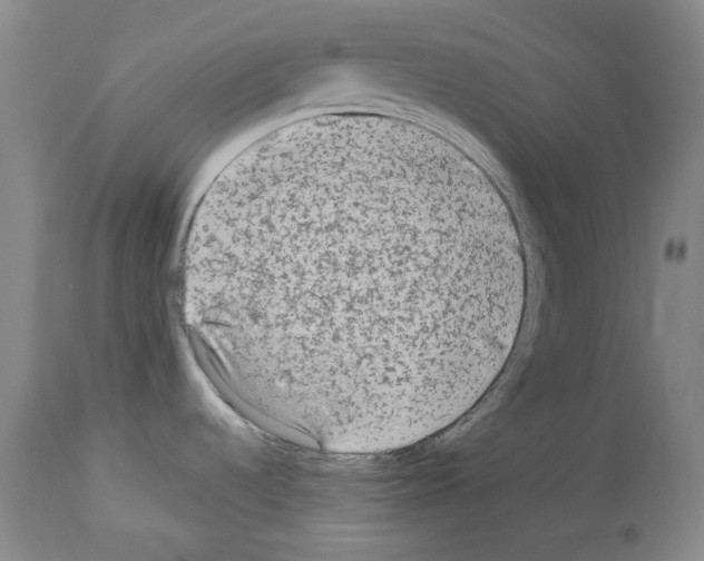 X0000113961536200911061314