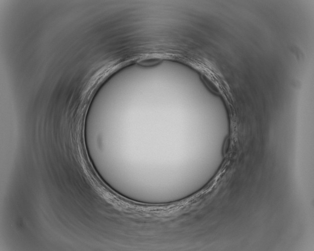 X0000113980001200910020959