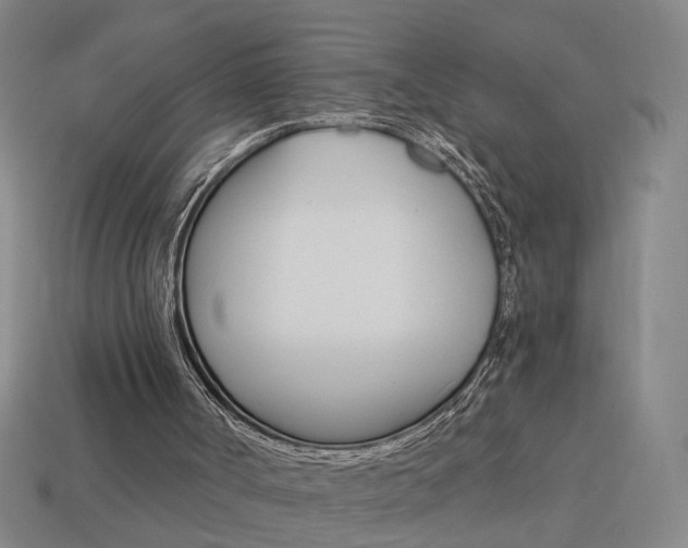 X0000113980002200910020959