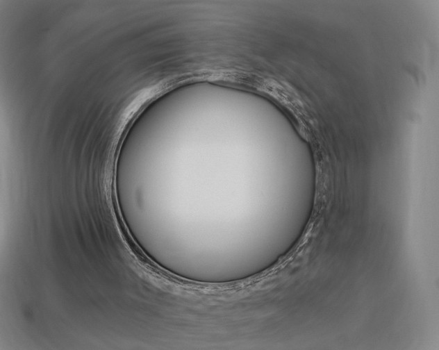 X0000113980003200910020959