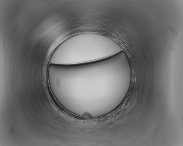 X0000113980004200910020959