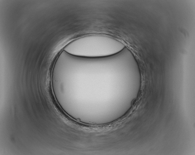X0000113980005200910020959