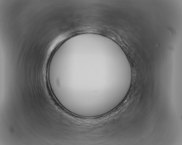 X0000113980006200910020959