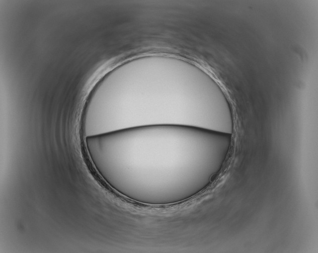 X0000113980007200910020959