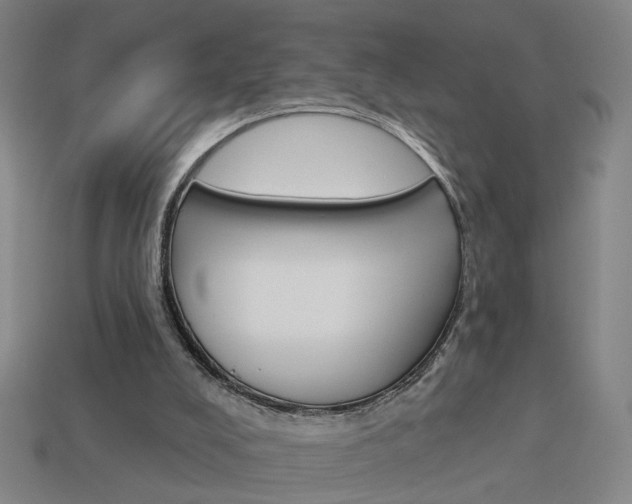 X0000113980008200910020959