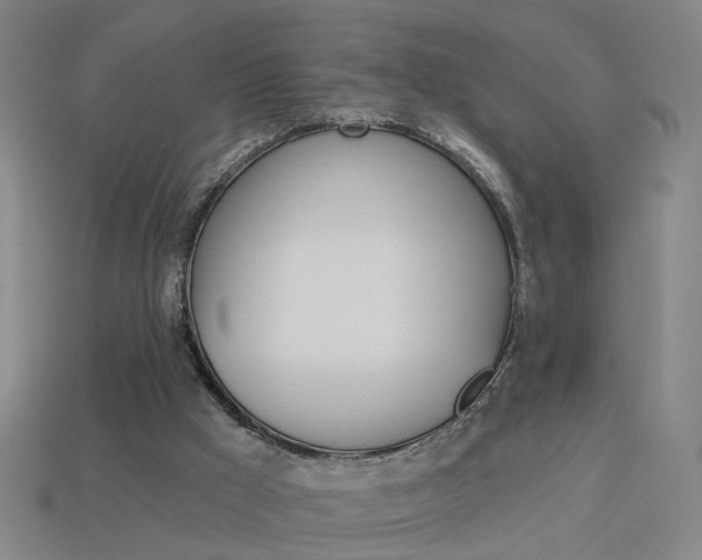 X0000113980009200910020959