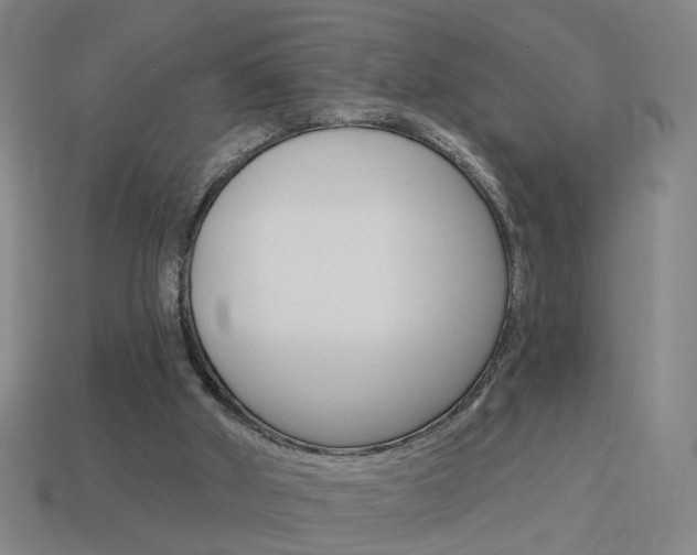 X0000113980010200910020959