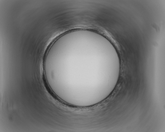 X0000113980011200910020959