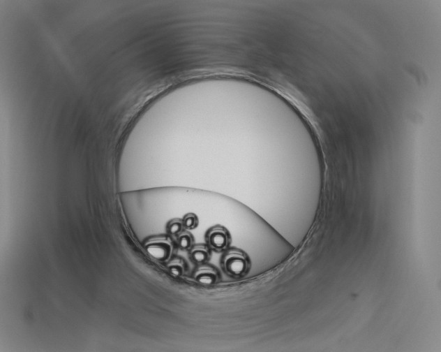 X0000113980013200910020959