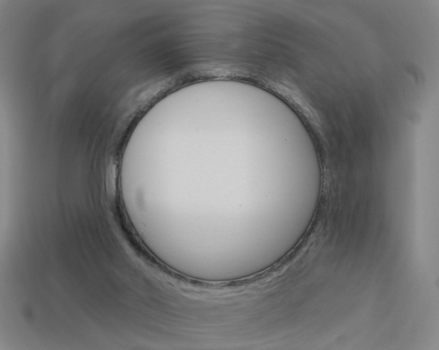 X0000113980014200910020959
