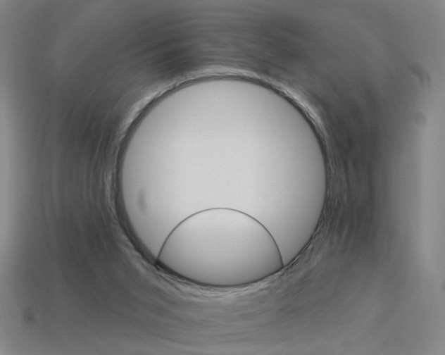 X0000113980015200910020958