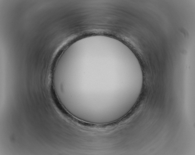 X0000113980016200910020958