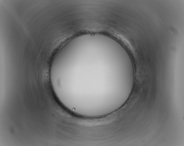 X0000113980017200910020958