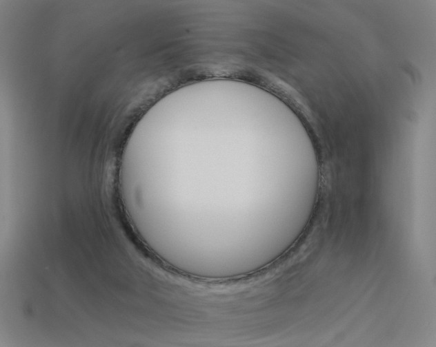 X0000113980018200910020958