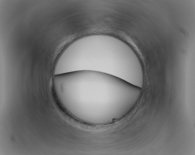 X0000113980019200910020958
