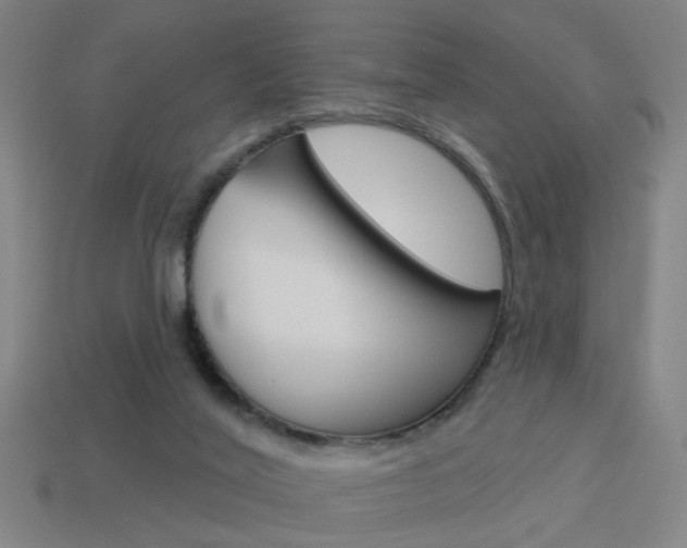 X0000113980020200910020958