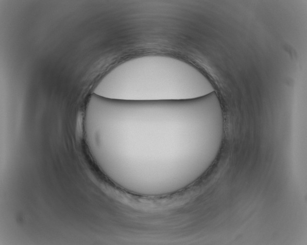 X0000113980022200910020958