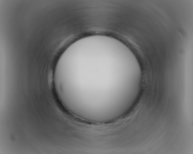 X0000113980024200910020958