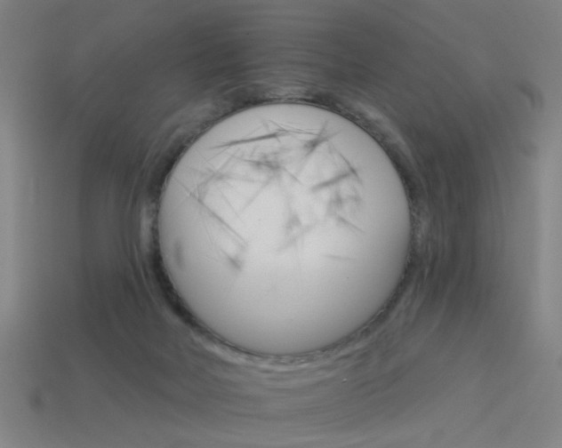 X0000113980026200910020958