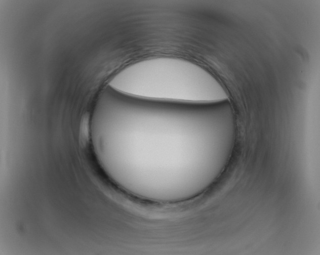 X0000113980028200910020958