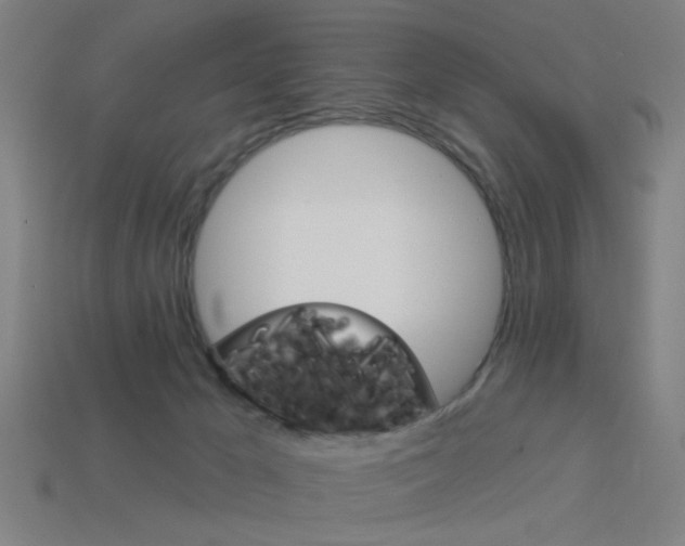 X0000113980029200910020958
