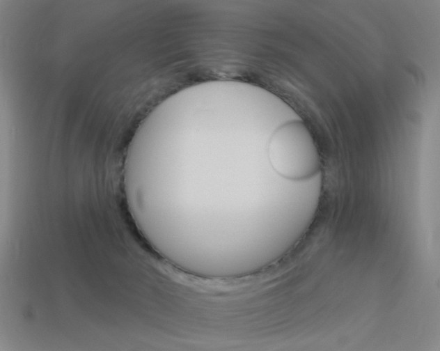 X0000113980030200910020958