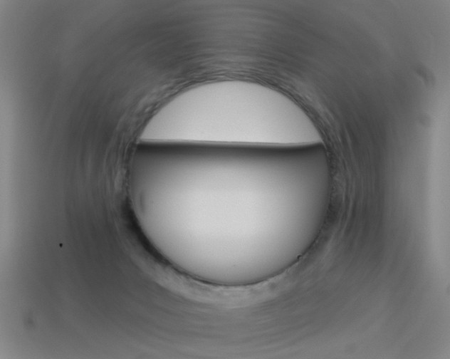 X0000113980031200910020958