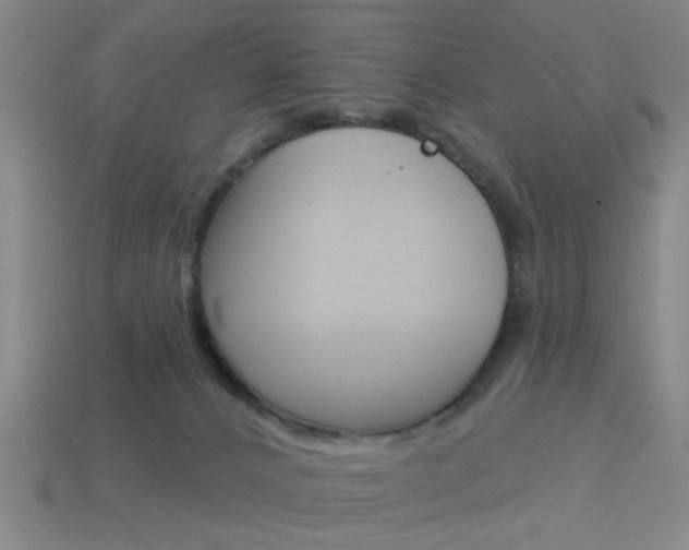 X0000113980032200910020958