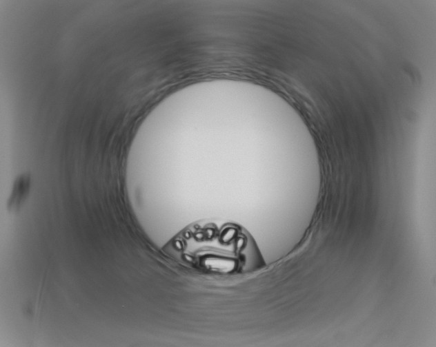 X0000113980033200910020958