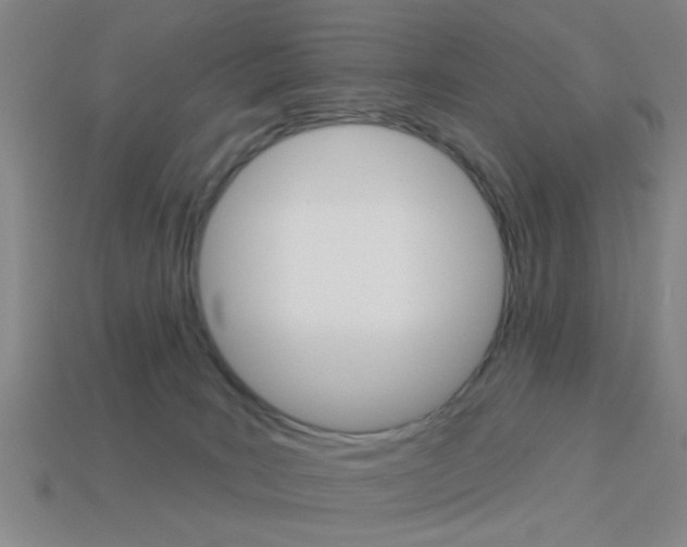 X0000113980035200910020958